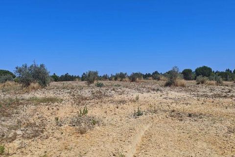 Helårsgrund i Coruche, Santarem, Coruche - € 55.000 | Ref: 143573 - foto 15