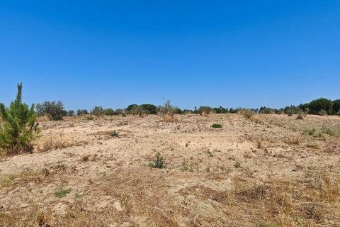 Helårsgrund i Coruche, Santarem, Coruche - € 55.000 | Ref: 143573 - foto 16