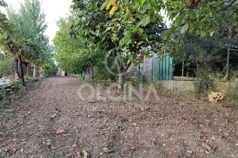 Terra a Onil, Alicante, Onil - € 95.500 | Ref: 243/6818 - foto 2