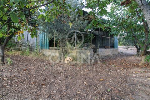 Terra a Onil, Alicante, Onil - € 95.500 | Ref: 243/6818 - foto 3