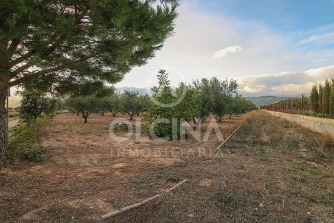 Terra a Onil, Alicante, Onil - € 95.500 | Ref: 243/6818 - foto 6