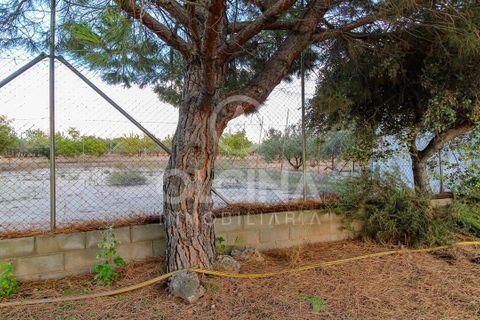 Terra a Onil, Alicante, Onil - € 95.500 | Ref: 243/6818 - foto 7