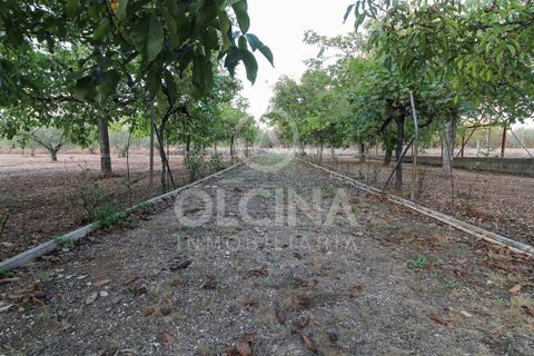 Terra a Onil, Alicante, Onil - € 95.500 | Ref: 243/6818 - foto 8