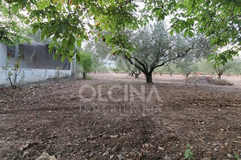 Terra a Onil, Alicante, Onil - € 95.500 | Ref: 243/6818 - foto 9