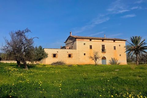 Grond in Palma De Mallorca, Mallorca - foto 1