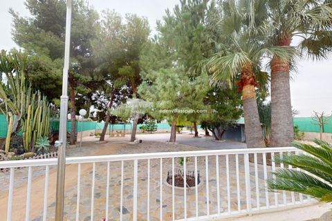 Lejlighed i Elche, Alicante, Elche - € 499.999 | Ref: 5285 - foto 44