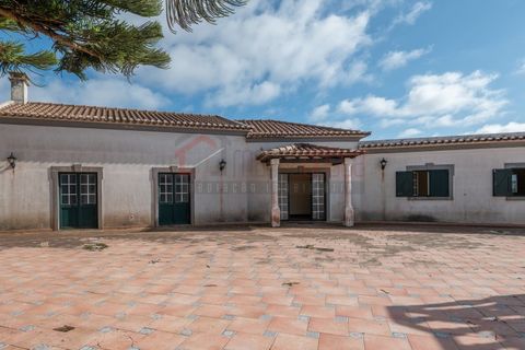 Farm i Peniche, Leiria, Peniche - € 920.000 | Ref: JT115/2025 - foto 23