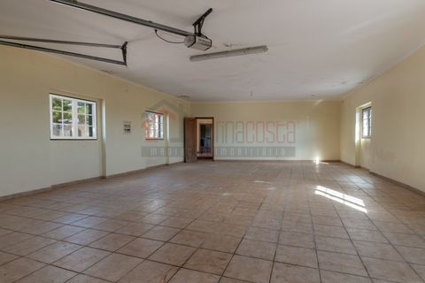 Farm i Peniche, Leiria, Peniche - € 920.000 | Ref: JT115/2025 - foto 25