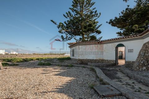 Farm i Peniche, Leiria, Peniche - € 920.000 | Ref: JT115/2025 - foto 35
