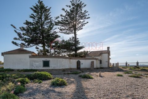Farm i Peniche, Leiria, Peniche - € 920.000 | Ref: JT115/2025 - foto 36