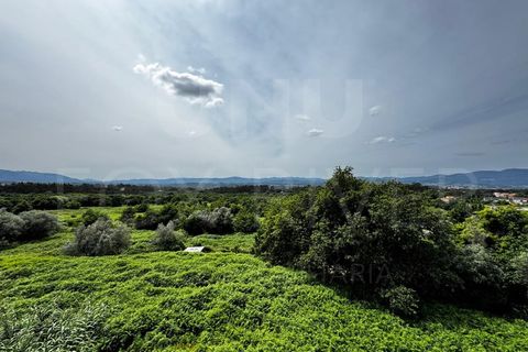 Byhus i Gandra e Taiao, Viana do Castelo, Gandra e Taiao - € 130.000 | Ref: F1-03-93 - foto 15