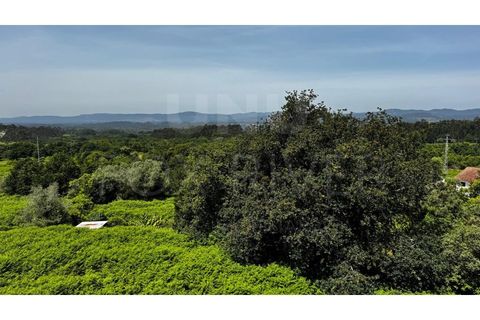 Byhus i Gandra e Taiao, Viana do Castelo, Gandra e Taiao - € 130.000 | Ref: F1-03-93 - foto 18