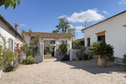 Villa a Vauvert, Gard, Vauvert - € 1.720.000 | Ref: 2712-ANG - foto 4