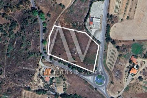 Helårsgrund i Belmonte, Castelo Branco, Belmonte - € 212.500 | Ref: P348 - foto 3