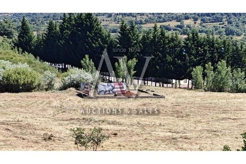 Helårsgrund i Belmonte, Castelo Branco, Belmonte - € 212.500 | Ref: P348 - foto 5