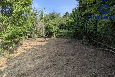 Tomt i Ceret, Pyrenees-Orientales, Ceret - € 18 800 | Ref: 1100 - foto 2