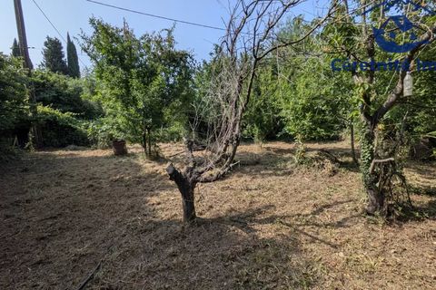 Tomt i Ceret, Pyrenees-Orientales, Ceret - € 18 800 | Ref: 1100 - foto 3
