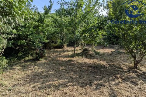 Tomt i Ceret, Pyrenees-Orientales, Ceret - € 18 800 | Ref: 1100 - foto 4