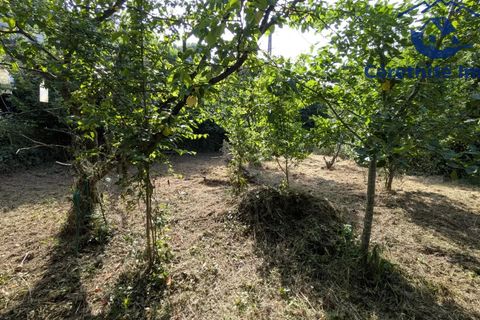 Tomt i Ceret, Pyrenees-Orientales, Ceret - € 18 800 | Ref: 1100 - foto 6