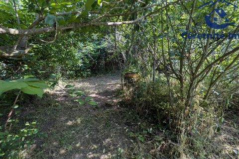 Tomt i Ceret, Pyrenees-Orientales, Ceret - € 18 800 | Ref: 1100 - foto 7
