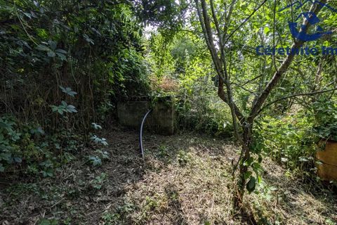 Tomt i Ceret, Pyrenees-Orientales, Ceret - € 18 800 | Ref: 1100 - foto 8