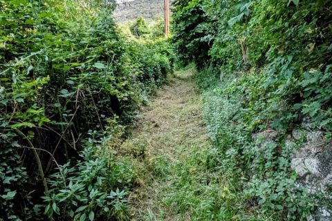 Tomt i Ceret, Pyrenees-Orientales, Ceret - € 18 800 | Ref: 1100 - foto 9