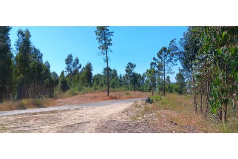 Helårsgrund i Macao, Santarem, Macao - € 25.000 | Ref: TER_326 - foto 3