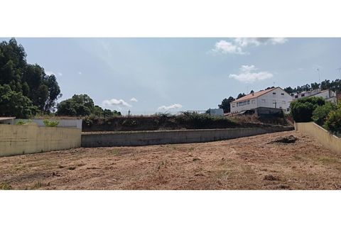 Tomt i Macao, Santarem, Macao - € 55 000 | Ref: SÒL_325 - foto 5