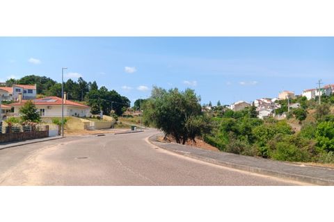 Tomt i Macao, Santarem, Macao - € 55 000 | Ref: SÒL_325 - foto 7