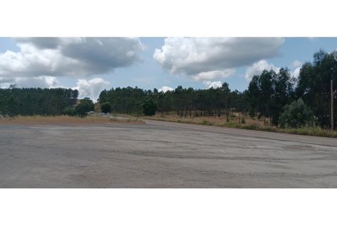 Terra a Macao, Santarem, Macao - € 1.250/mes | Ref: TER_324 - foto 2