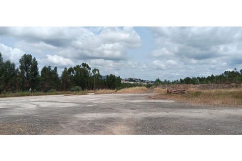 Terra a Macao, Santarem, Macao - € 1.250/mes | Ref: TER_324 - foto 3