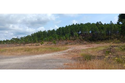 Terra a Macao, Santarem, Macao - € 1.250/mes | Ref: TER_324 - foto 6