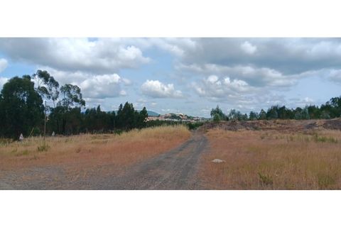 Terra a Macao, Santarem, Macao - € 1.250/mes | Ref: TER_324 - foto 7