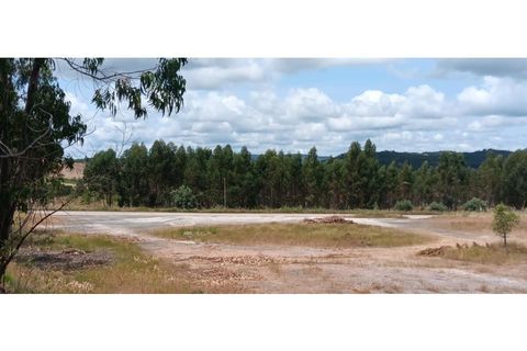 Terra a Macao, Santarem, Macao - € 1.250/mes | Ref: TER_324 - foto 8