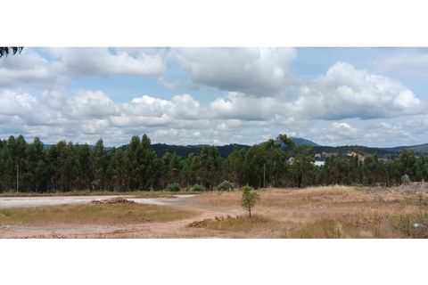 Terra a Macao, Santarem, Macao - € 1.250/mes | Ref: TER_324 - foto 9
