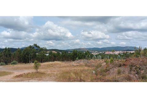Terra a Macao, Santarem, Macao - € 1.250/mes | Ref: TER_324 - foto 10