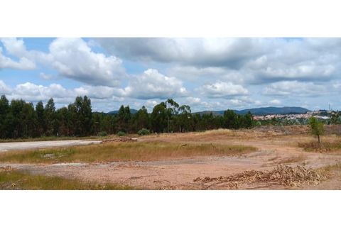 Terra a Macao, Santarem, Macao - € 1.250/mes | Ref: TER_324 - foto 11