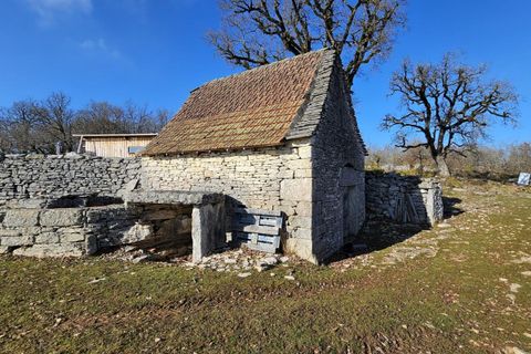 Terra a Saint-Chels, Lot, Saint-Chels - € 145.000 | Ref: 6C601C97370A48D4 - foto 13