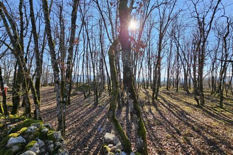 Terra a Saint-Chels, Lot, Saint-Chels - € 145.000 | Ref: 6C601C97370A48D4 - foto 14