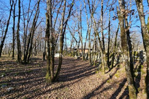 Terra a Saint-Chels, Lot, Saint-Chels - € 145.000 | Ref: 6C601C97370A48D4 - foto 16
