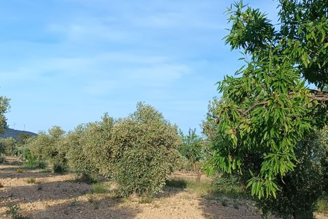 Landejendom i Yecla, Murcia, Yecla - € 98.000 | Ref: 41055-PB - foto 15