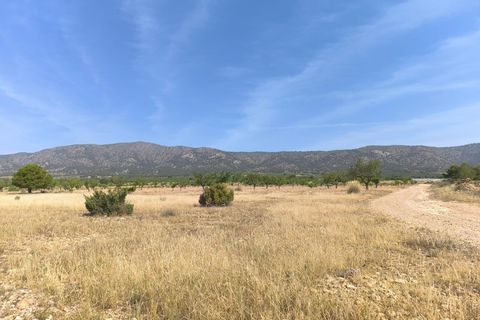 Helårsgrund i Monovar, Alicante, Monovar - € 38.500 | Ref: 61099 - foto 3