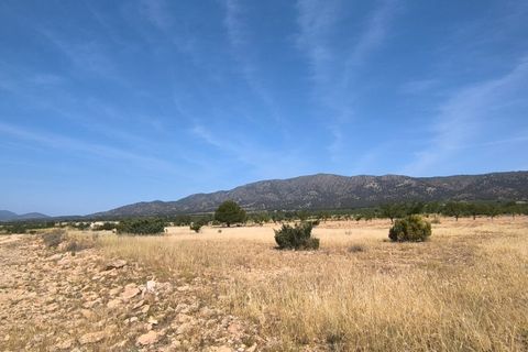 Helårsgrund i Monovar, Alicante, Monovar - € 38.500 | Ref: 61099 - foto 4