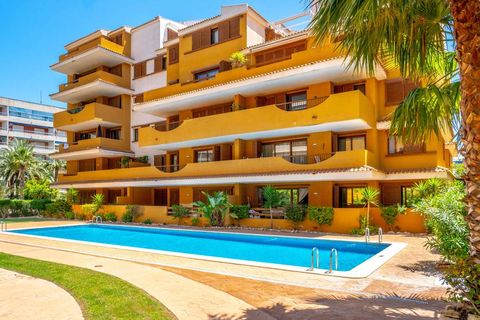 Leilighet i Punta Prima, Alicante, Punta Prima - € 239 000 | Ref: 12365 - foto 25