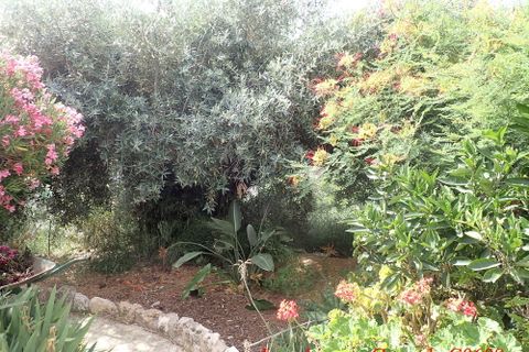 Landsbyhus i Alfornon, Granada, Alfornon - € 155.000 | Ref: C0608 - foto 43