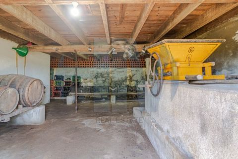 Farm i Gondomar, Porto, Gondomar - € 820.000 | Ref: HM015-19 - foto 9