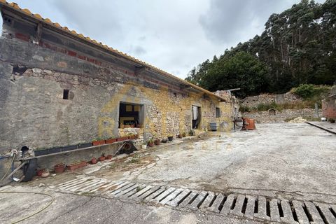 Helårsgrund i Vila do Conde, Porto, Vila do Conde - € 400.000 | Ref: RL-400-349 - foto 9