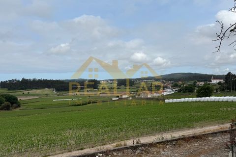 Helårsgrund i Vila do Conde, Porto, Vila do Conde - € 400.000 | Ref: RL-400-349 - foto 11