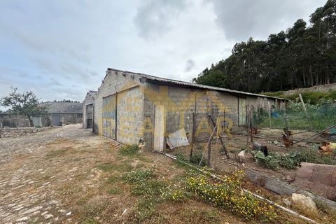 Helårsgrund i Vila do Conde, Porto, Vila do Conde - € 400.000 | Ref: RL-400-349 - foto 14