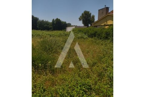 Helårsgrund i Ponte de Lima, Viana do Castelo, Ponte de Lima - € 138.000 | Ref: 1350190/25VC - foto 5